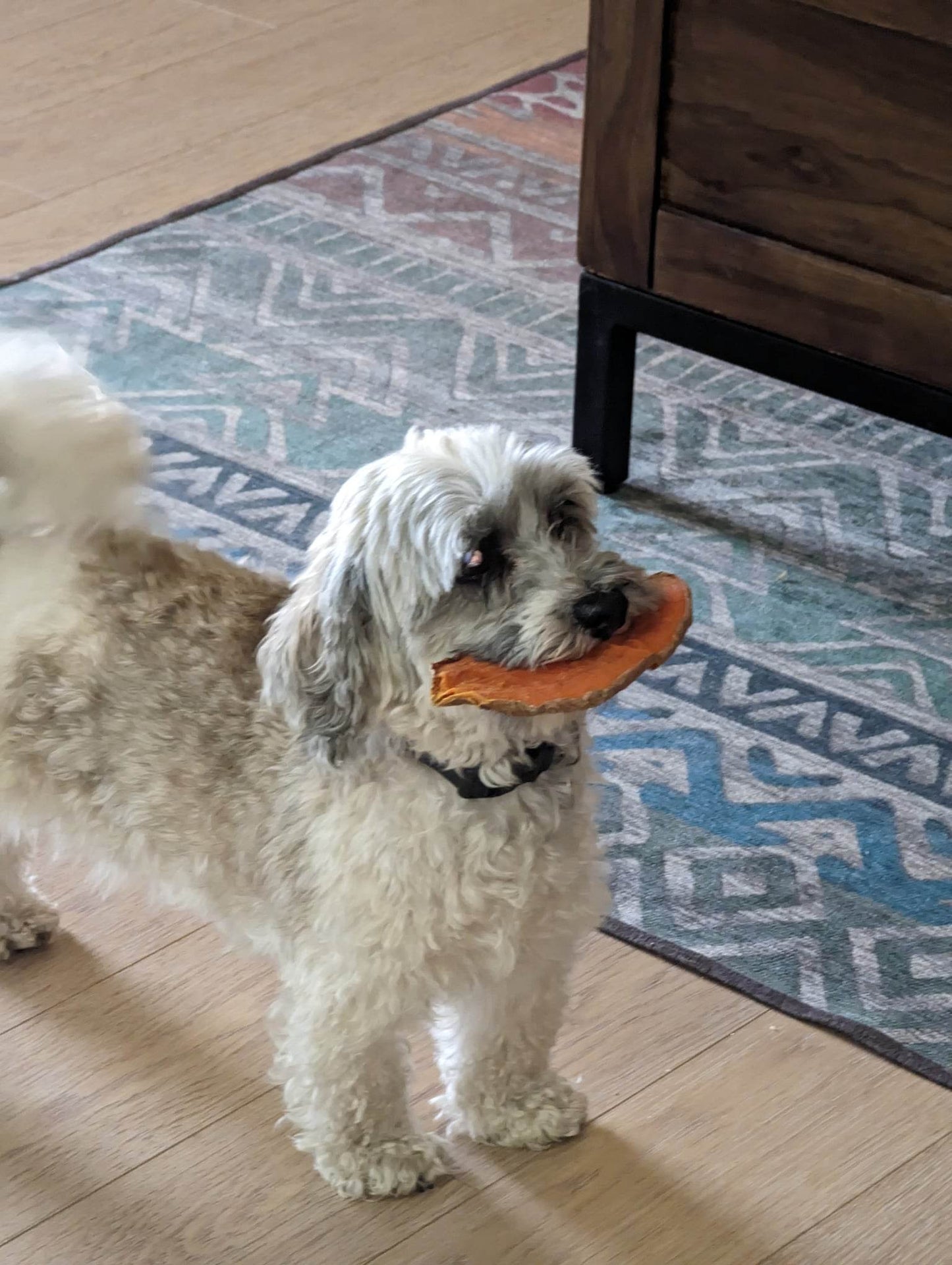 Pete's Sweet Potato Chews